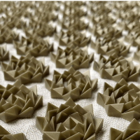 Premium Acupressuur Set Lotus Natural Beige met mat & kussen | YoZenga 